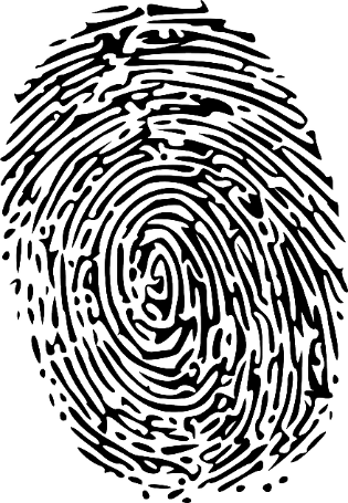 Flectra image and text block